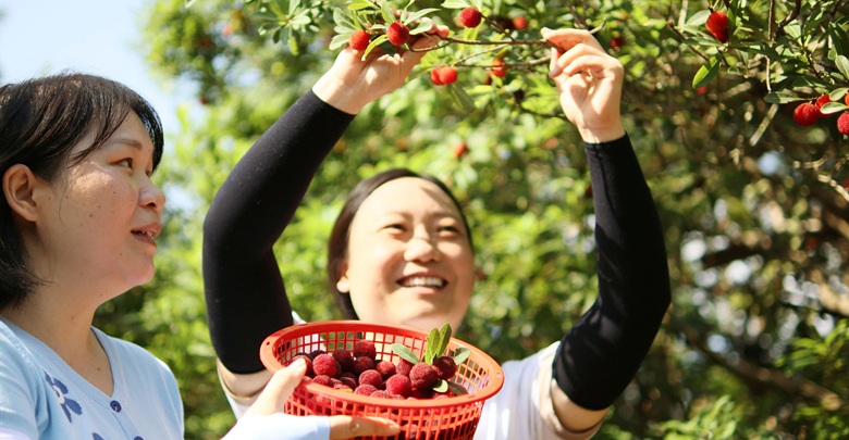 特色農(nóng)業(yè)助振興